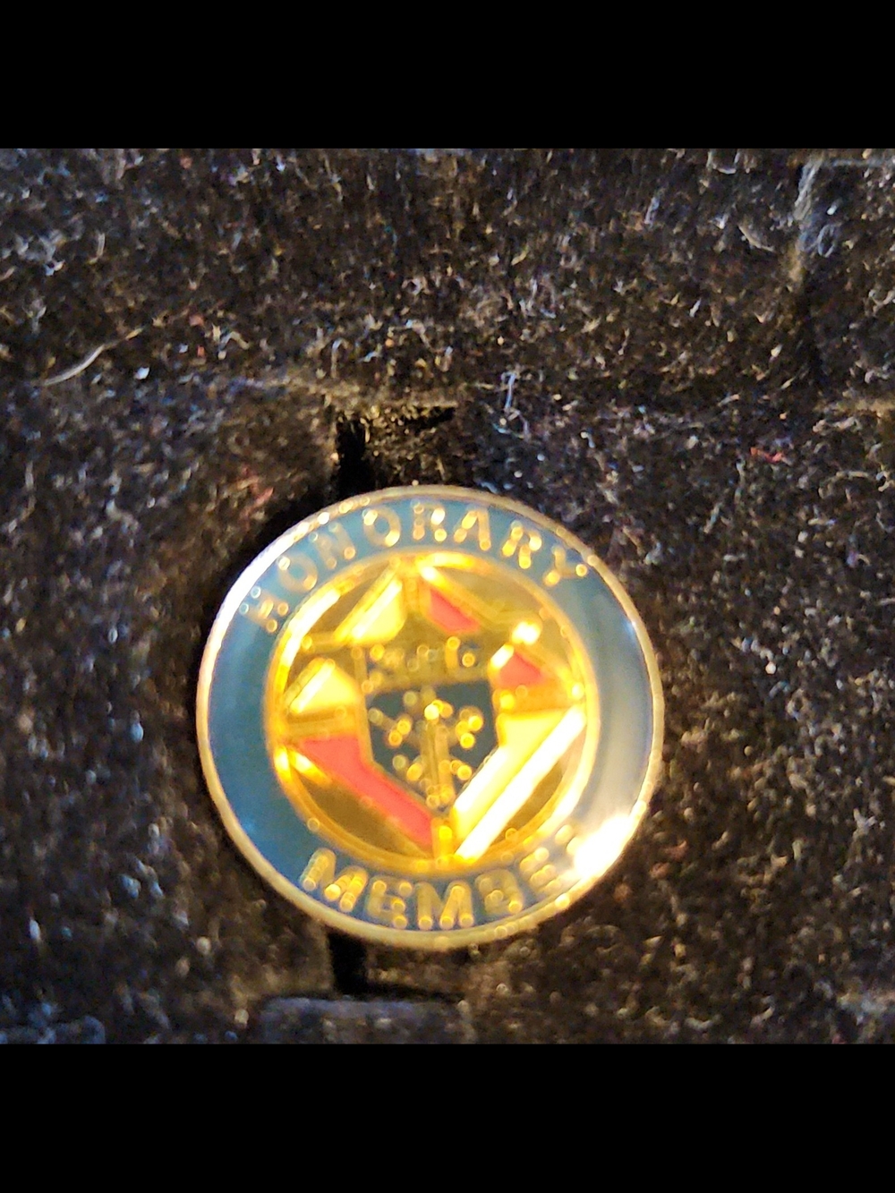 Blue and Gold-toned 'Honorary Member' Enamel Pin